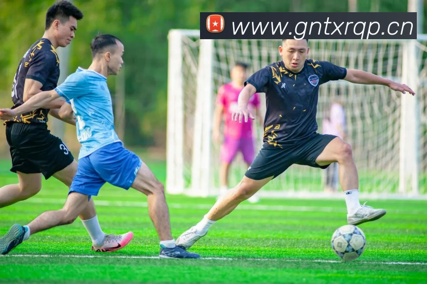 hth官网入口平台生态图